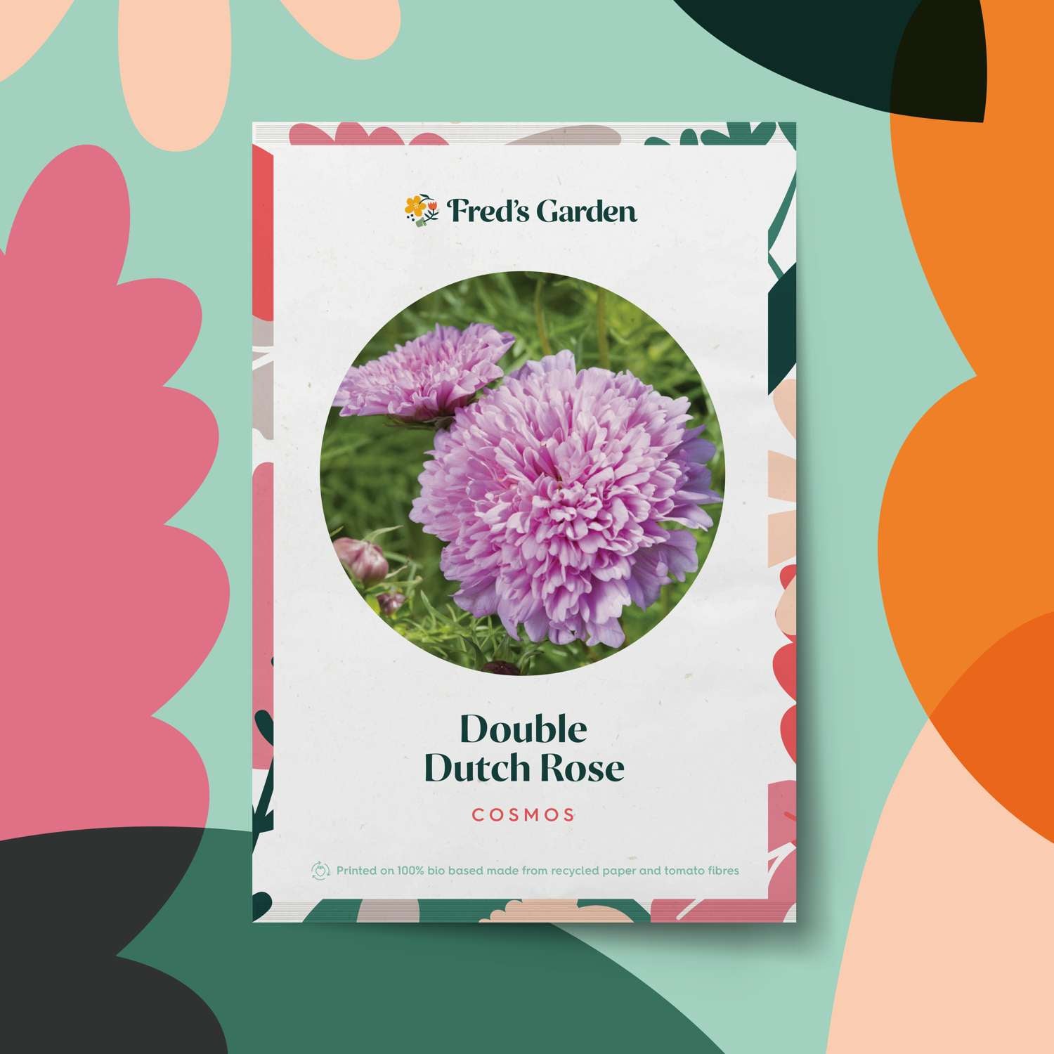 Cosmea 'Double Dutch Rose' (zaden)